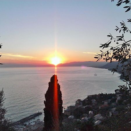 Villetta Sul Mare Camogli Exterior photo