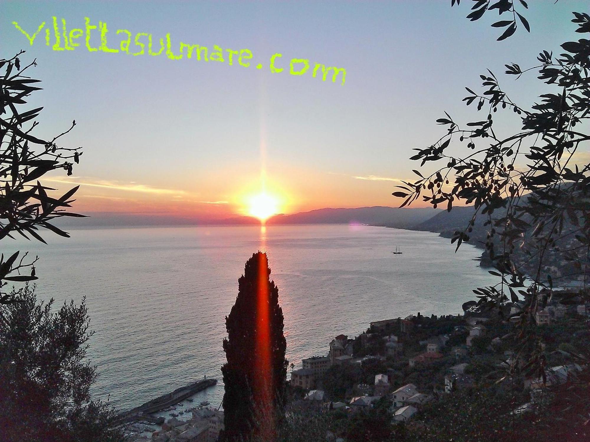Villetta Sul Mare Camogli Exterior photo